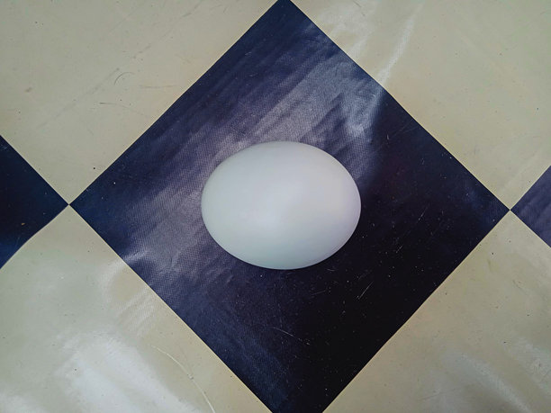 黑白背景上的咸蛋俯视照片图片下载