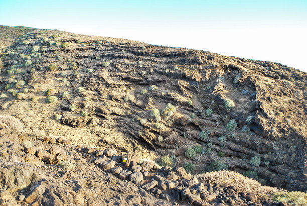 大峡谷的鸟瞰图，数字照片作为背景图片下载