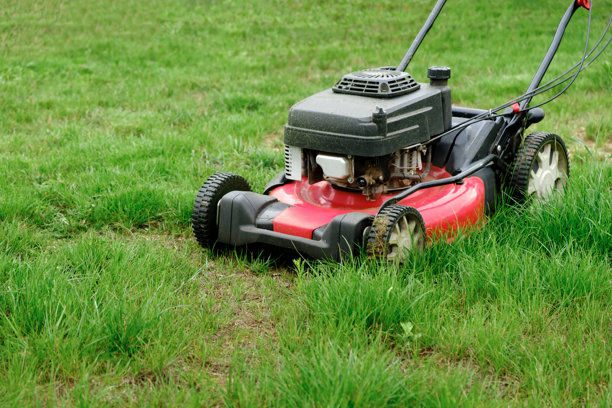 绿色草坪背景上的割草机。用于修剪的汽油机器。园艺护理。电动设备。侧面视图。留白空间。大量的三叶草杂草。适合游戏的运动草坪。杂草控制。高质量照片。图片下载
