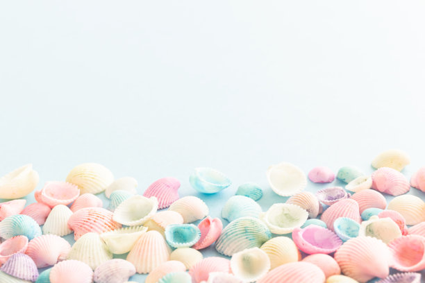 淡蓝色背景上的粉彩色海螺。可爱的夏季背景素材，留有空白空间。图片下载