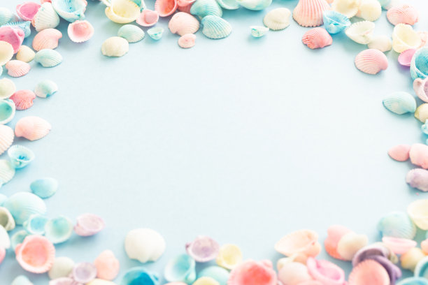 淡蓝色背景上的粉彩色海螺。可爱的夏季背景素材，留有空白空间。图片下载
