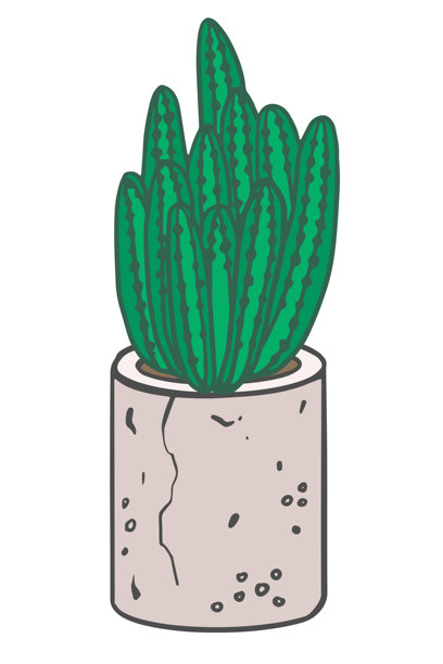 烛台仙人掌，绿色多肉植物，水泥花盆，家居迷你植物，手绘插图用于贺卡、海报、花店卡片图片下载