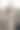 纳米比亚非洲野生鸵鸟的颈部和头部特写侧面照片图片下载