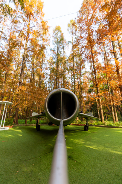 上海东平森林公园的J-6飞机航拍照片图片下载