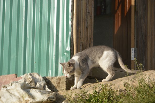 喜马拉雅山脉和尼泊尔的旅行图片图片下载