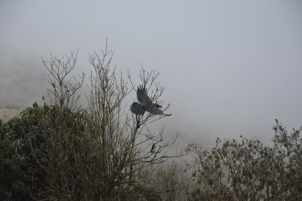 喜马拉雅山脉和尼泊尔的旅行图片图片下载