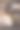 平视特写照片，展示了一只地松鼠正在吃东西，细小的爪子握着食物。图片下载