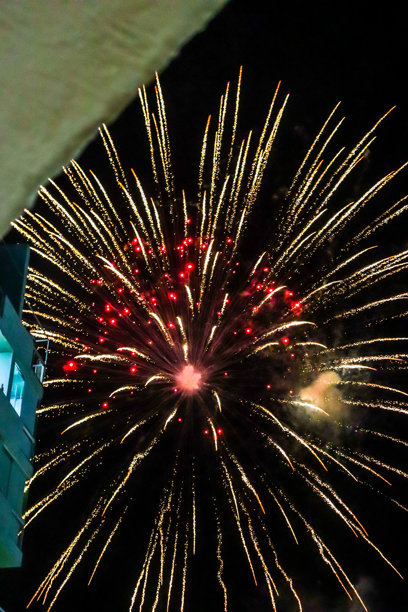 美丽的烟花表演图片图片下载