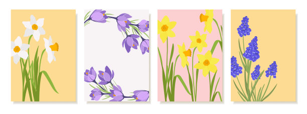 色彩缤纷的明信片，春季球根花卉：番红花、水仙花、风信子，手绘风格。明信片、海报、传单、图片的矢量模板。图片下载