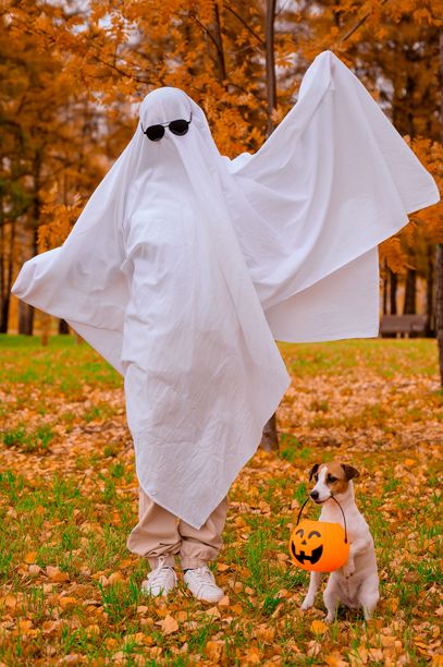 穿着白色床单的女人和杰克拉塞尔梗狗在秋季森林中拿着南瓜灯。万圣节服装。竖版照片。图片下载