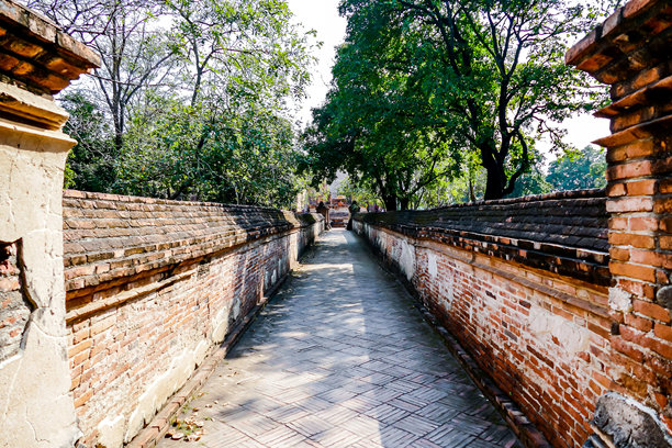 泰国阿育他亚的美丽佛教寺庙佛塔遗址照片图片下载