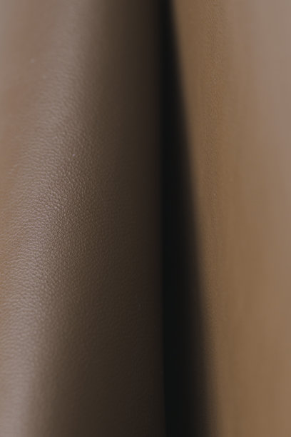 摩卡慕斯色调的真皮宏观纹理，背景图片，年度颜色图片下载