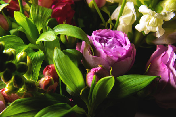 大而美丽的鲜花束，包含酒红色调的玫瑰、毛茛花和牡丹，特写照片，花束细节。图片下载