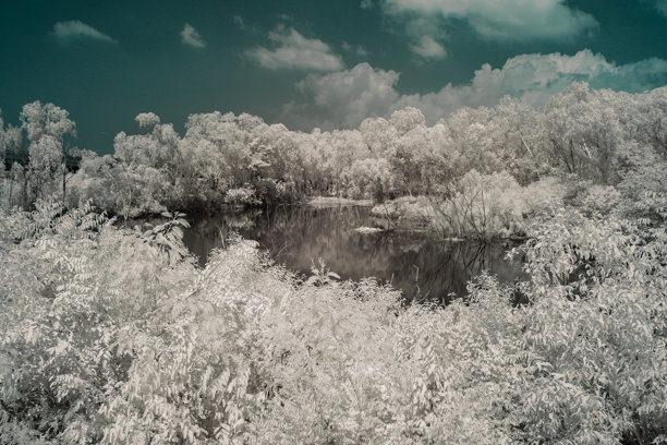 一幅宁静的红外照片描绘了一个安静的池塘，坐落在郁郁葱葱、如雪般的森林中，天空部分多云。图片下载