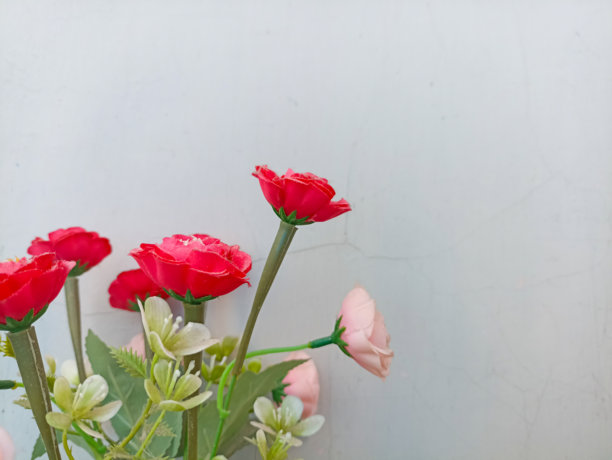 白色背景上的塑料红玫瑰照片图片下载