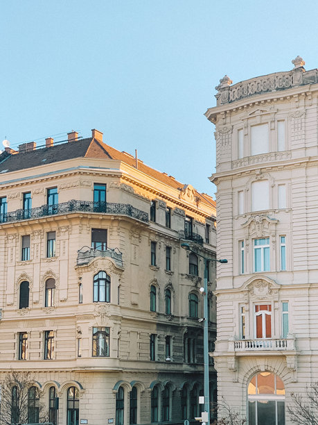 布达佩斯历史建筑的美丽照片，展示了这座城市令人惊叹的建筑，拥有华丽的外立面和复杂的细节。图片下载