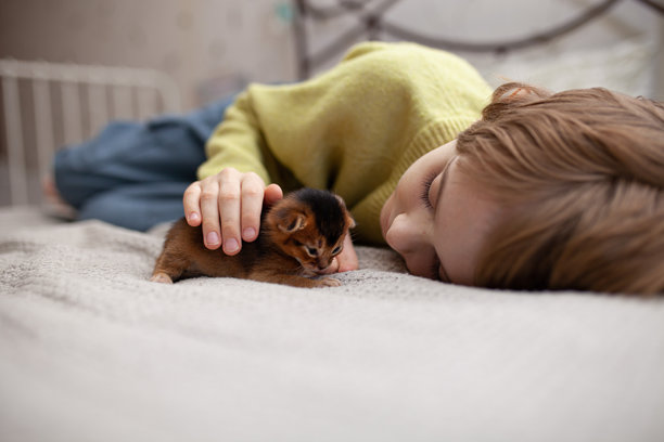 男孩躺在床上，近距离拍摄与小阿比西尼亚红色小猫的照片。孩子正在抚摸红色小猫。图片下载