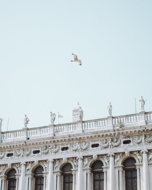 动态照片展示了一只海鸥在意大利威尼斯圣马可广场的历史墙上空飞翔，广场标志性的建筑在背景中。图片下载