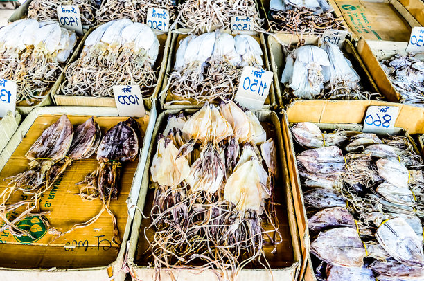 曼谷市的美味泰国菜鱿鱼照片图片下载