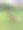 乡村草地上坐着一只小狗的照片。图片下载