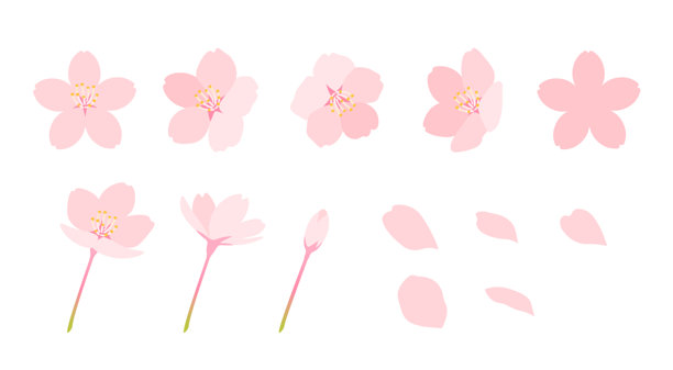 樱花盛开。樱花花瓣图标和装饰的集合。可爱的春季花卉插图素材。图片下载