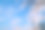 蓝天与树。仰望天空的照片。图片下载