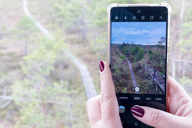一位女性用手指触摸智能手机屏幕，屏幕上显示着一幅沼泽风景的照片，照片中有一座木质人行桥。图片下载