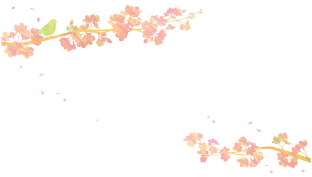 樱花树和小鸟的拼贴插图。春季背景素材。图片下载