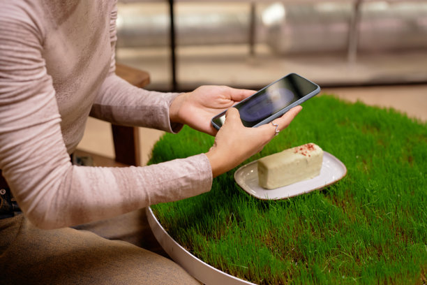 在现代咖啡馆用智能手机拍摄甜点照片图片下载