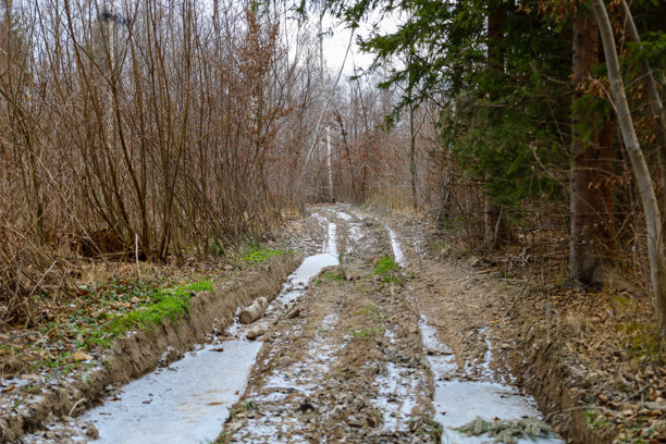 这张照片展示了一条穿过森林的道路。道路部分被雪和冰覆盖，显示出冬季的气息。道路两旁的树木光秃秃的，没有叶子。雪的覆盖不均匀，在某些地方，地面和草坪上露出了。图片下载