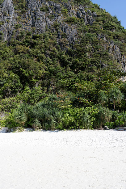 泰国安达曼海的皮皮岛玛雅湾沙滩，位于克拉比省奥南。竖版图片图片下载