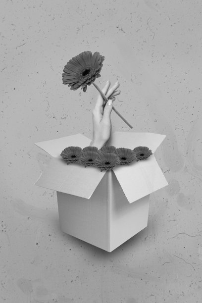 拼贴艺术照片，展示了装在纸箱包裹中的新鲜天然红色非洲菊花，便宜的送货服务，在线订购，背景为涂鸦风格。图片下载