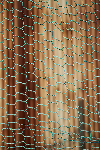 透过绿色细网铁丝网看到的生锈的旧镀锌铁皮。竖版图片图片下载
