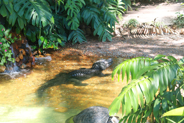 这是一张小鳄鱼部分浸没在浅色水池中的照片。鳄鱼的背部和尾巴可见，呈现出深灰色和黑色的斑驳图案。图片下载