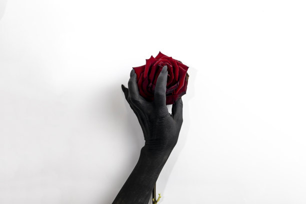 黑色长指甲的手握着一朵玫瑰并使其枯萎。概念照片中，女性的手涂成黑色，握着一朵红色花朵。手中的恶魔力量使玫瑰凋谢。图片下载