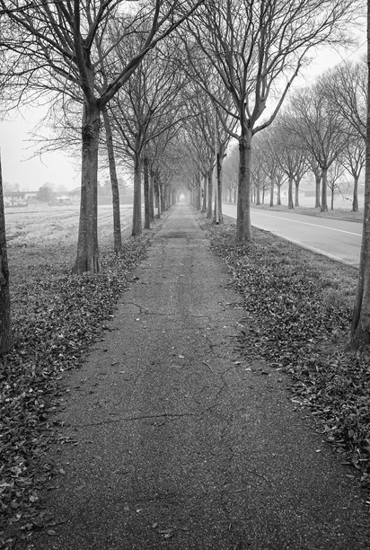 冬季的乡村道路。黑白照片图片下载