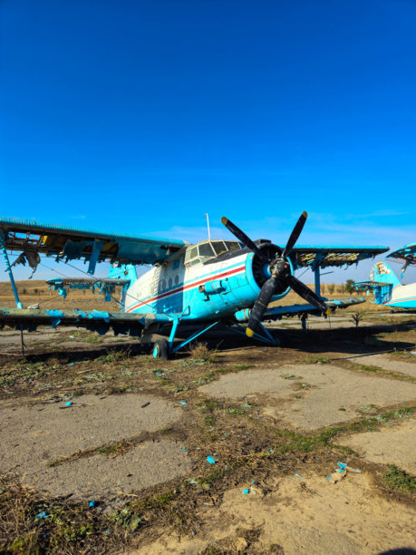照片展示了位于草原中心的废弃飞机。图片下载