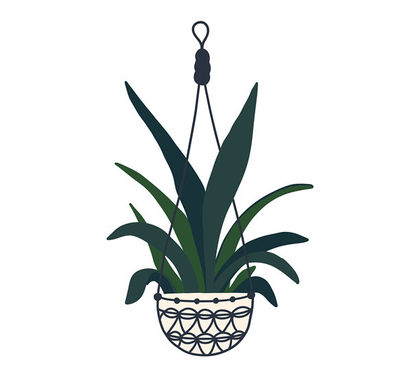 悬挂的流苏编织植物花盆。家居室内花盆。室内各种编织植物。家庭办公室花园悬挂植物。矢量平面插图。图片下载