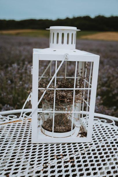 薰衣草田中的灯笼，芳香疗法，夏季放松，薰衣草照片墙纸，薰衣草田，薰衣草田的拍摄，拍摄配件，氛围照片图片下载