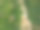 森林砍伐的航拍照片，农村地区因森林砍伐和土地侵蚀造成的环境破坏，森林砍伐的环境毁灭，热带雨林因人类开发而被毁坏图片下载
