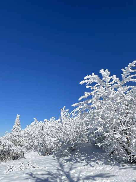 冬季的费希特尔山照片，覆盖着雪的森林和矿山的树木。迷人的冬季风景。图片下载