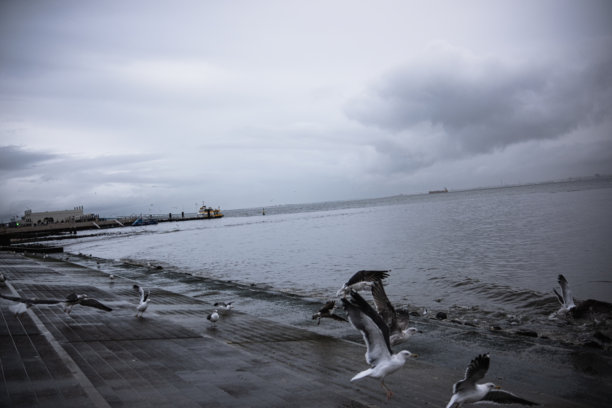海鸥从堤岸起飞，背景是海洋和戏剧性的暴风雨天空。街头摄影风格的照片图片下载