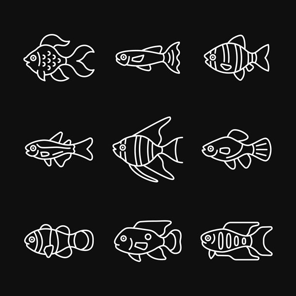 水族馆鱼类线条白色图标集，黑色背景。热带鱼矢量标志。水族养殖符号。可编辑的线条。图片下载