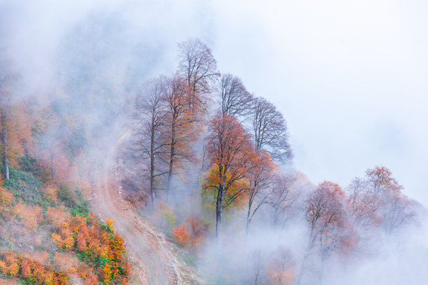 土耳其博尔卡村的秋季无人机照片，博尔卡阿尔特温图片下载