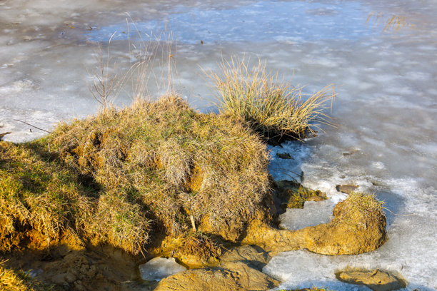 这张照片捕捉到一小块土壤上的草从部分结冰的水面上突出。草呈干燥的黄色，与灰色的冰面和水中蓝色的天空倒影形成对比。图片下载