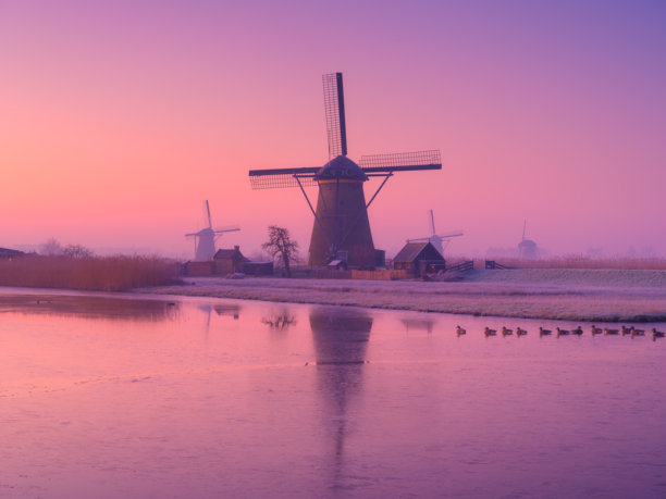 荷兰日出时的风车。雾蒙蒙的早晨和阳光。荷兰运河。全景自然风光。适合用作背景、壁纸和明信片的照片。图片下载