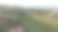 照片展示了意大利罗塞托·德利·阿布鲁齐镇的山丘，田野上覆盖着葡萄藤和橄榄树。图片下载