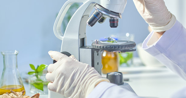 展示新鲜草药枝条放置在显微镜下，研究人员正在观察，周围是透明玻璃实验室设备，里面装有其他草药的模板照片。图片下载