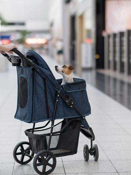 一位白人女性推着她的杰克拉塞尔梗狗在商场里散步。竖版照片。图片下载