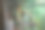 鹦鹉是绿色的，坐在树枝上。笼子是金属的，铁栏杆清晰可见。背景中可以看到另一只鹦鹉。这张照片传达了宠物的概念。图片下载